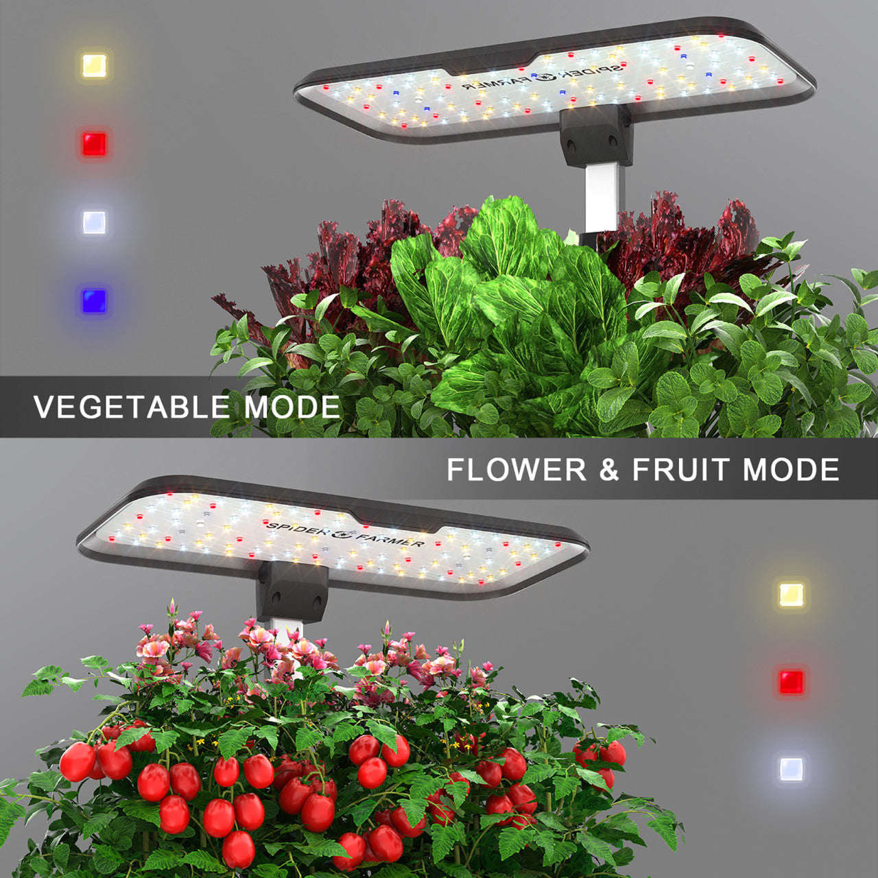 Indoor Hydroponic Grow System - 24W - Spider Farmer