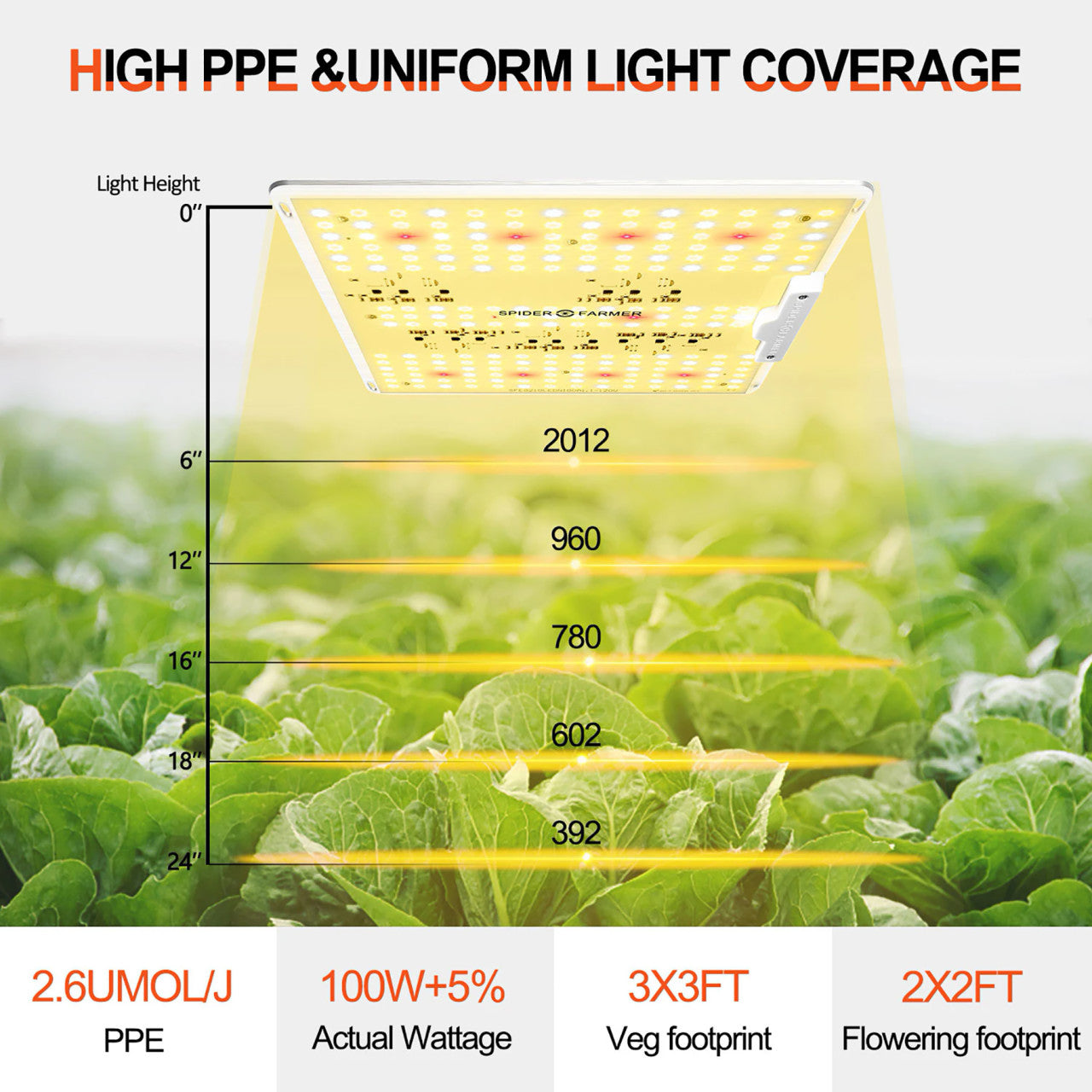 LED Full Spectrum Indoor Grow Light - 100W - Spider Farmer - SF1000D