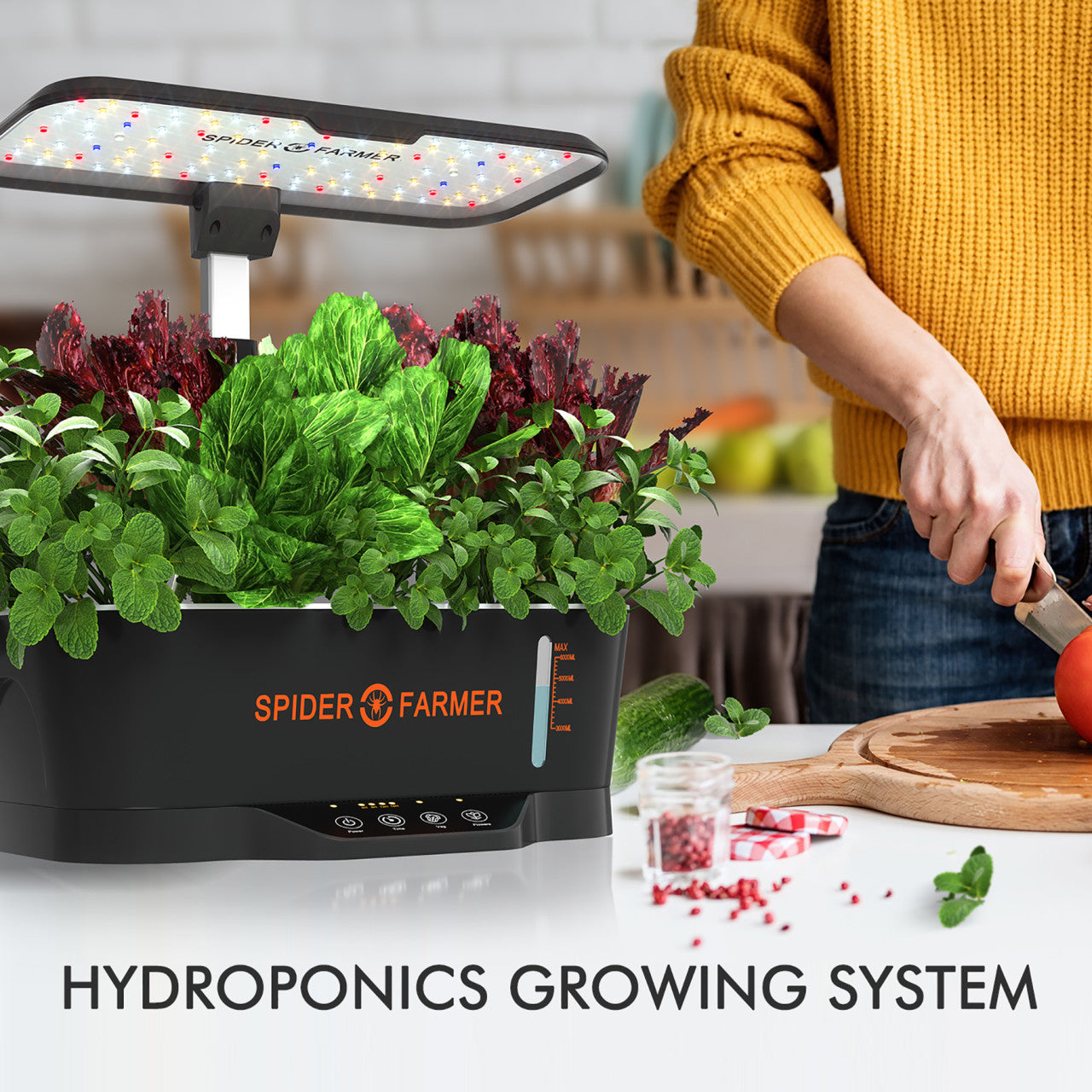 Indoor Hydroponic Grow System - 24W - Spider Farmer