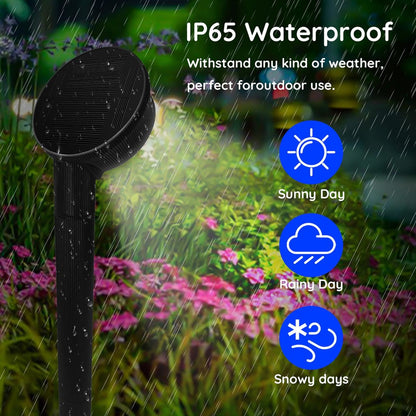 2-Pack Solar LED Pathway Light - 4 Installation Methods - LumeGen