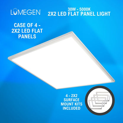 Surface Mount 2x2 LED Flat Panel Light - 30W - 5000K - Case of 4 - LumeGen