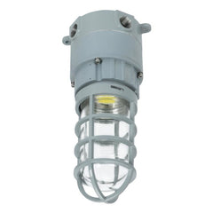 LED Explosion Proof Jelly Jar Light - 30W - 4,200 Lumens - Wall or Ceiling Mount - Venas