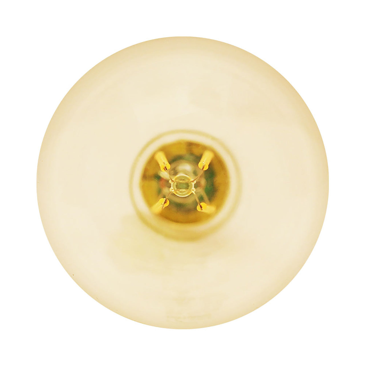 CASE OF 24 - LED G25 Amber Filament - 7 Watt - Dimmable - 75W Equiv - 600 Lumens - Euri Lighting