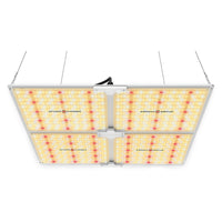 LED Full Spectrum Indoor Grow Light - 450W - Spider Farmer